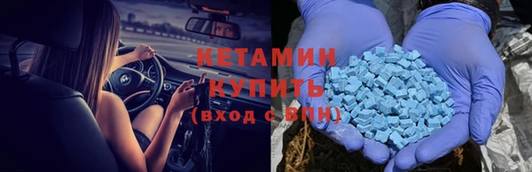прущие грибы Нея