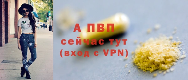 прущие грибы Нея