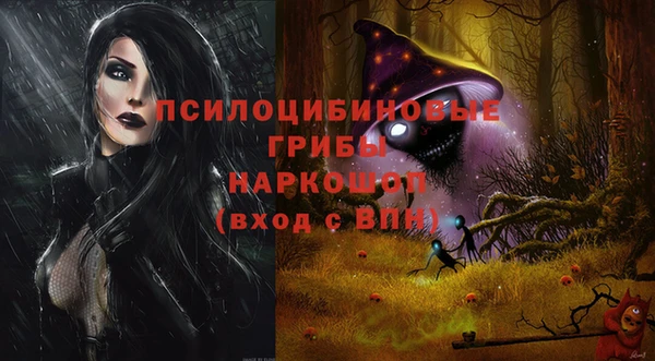 стафф Нефтекумск