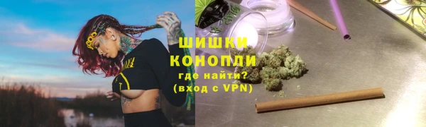 прущие грибы Нея