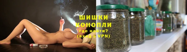 стафф Нефтекумск