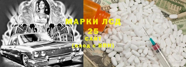 прущие грибы Нея