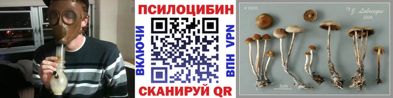 Галлюциногенные грибы мухоморы  Магнитогорск 